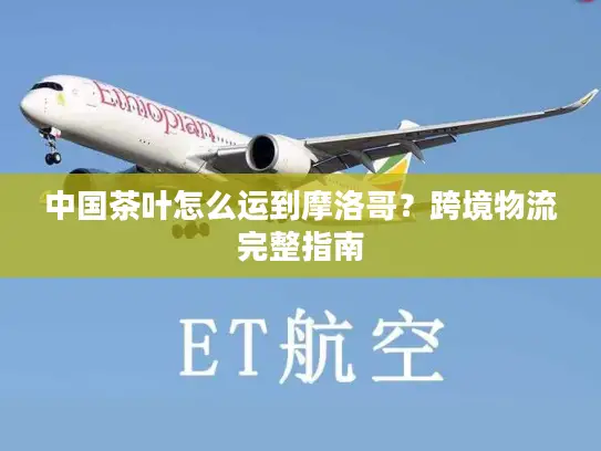 中国茶叶怎么运到摩洛哥？跨境物流完整指南