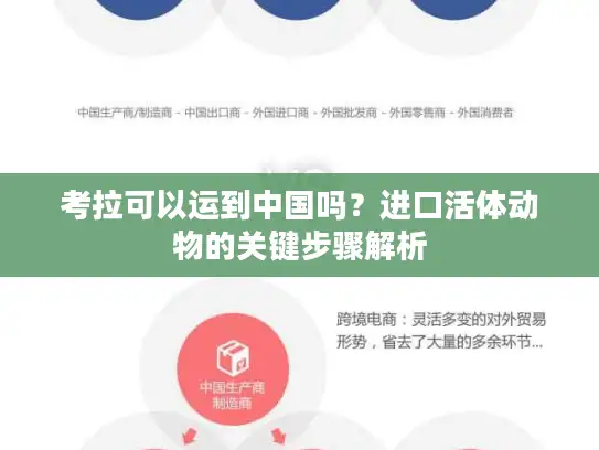 考拉可以运到中国吗？进口活体动物的关键步骤解析