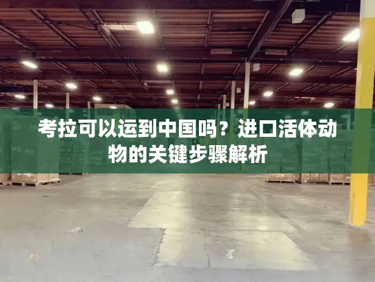 考拉可以运到中国吗？进口活体动物的关键步骤解析