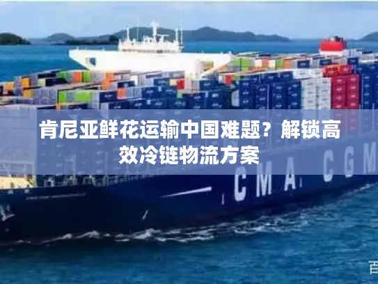 肯尼亚鲜花运输中国难题？解锁高效冷链物流方案