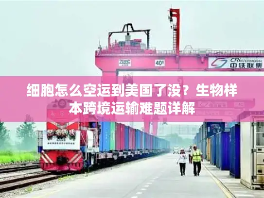 细胞怎么空运到美国了没？生物样本跨境运输难题详解