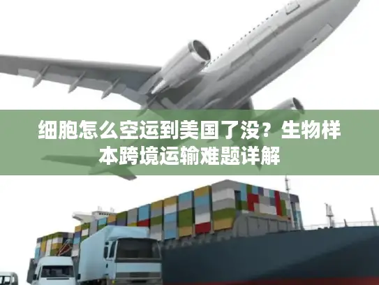 细胞怎么空运到美国了没？生物样本跨境运输难题详解