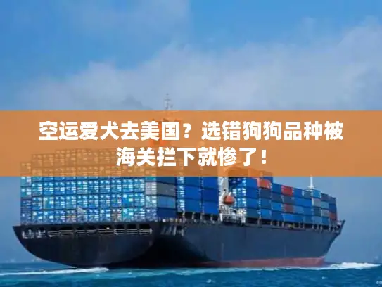 空运爱犬去美国？选错狗狗品种被海关拦下就惨了！