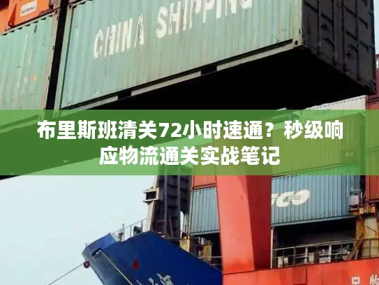 布里斯班清关72小时速通？秒级响应物流通关实战笔记