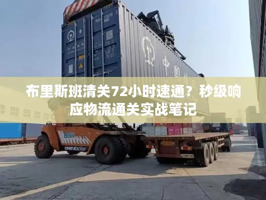 布里斯班清关72小时速通？秒级响应物流通关实战笔记