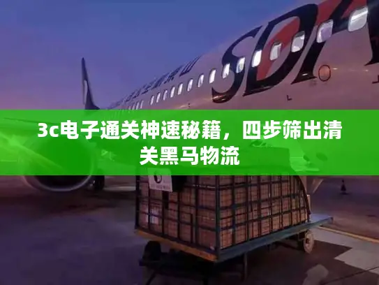 3c电子通关神速秘籍，四步筛出清关黑马物流