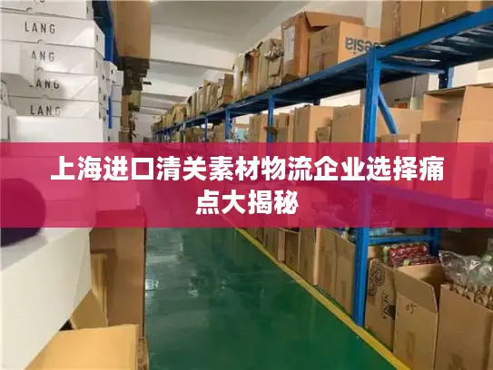 上海进口清关素材物流企业选择痛点大揭秘