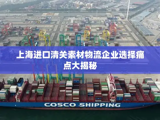 上海进口清关素材物流企业选择痛点大揭秘