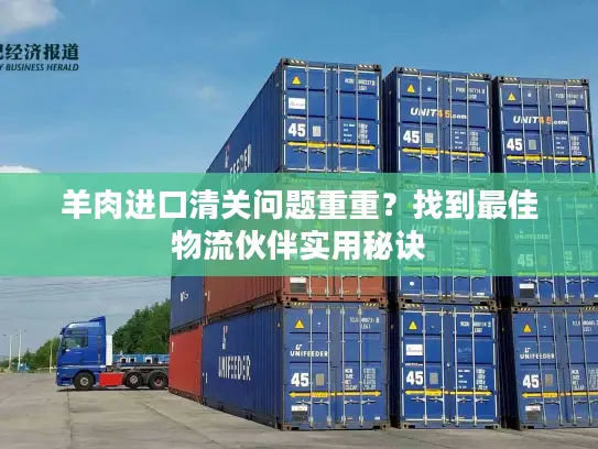 羊肉进口清关问题重重？找到最佳物流伙伴实用秘诀