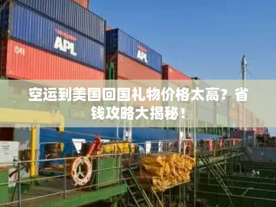 空运到美国回国礼物价格太高？省钱攻略大揭秘！