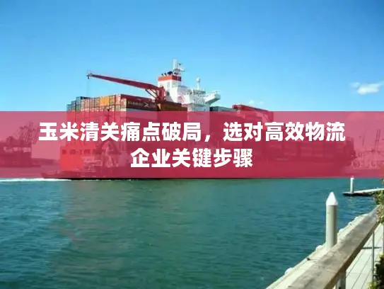 玉米清关痛点破局，选对高效物流企业关键步骤