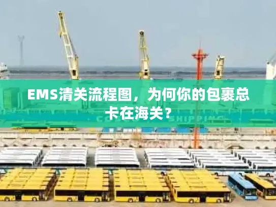 EMS清关流程图，为何你的包裹总卡在海关？