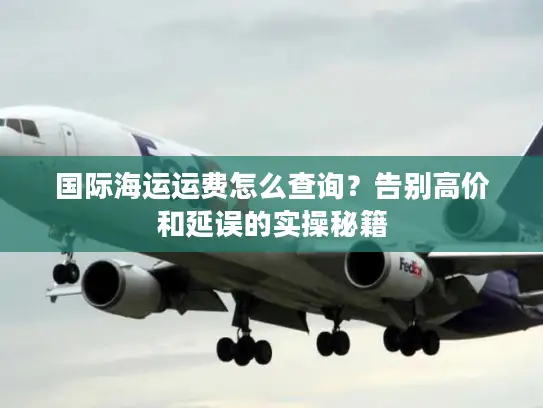 国际海运运费怎么查询？告别高价和延误的实操秘籍
