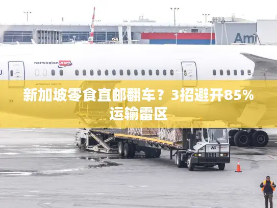 新加坡零食直邮翻车？3招避开85%运输雷区