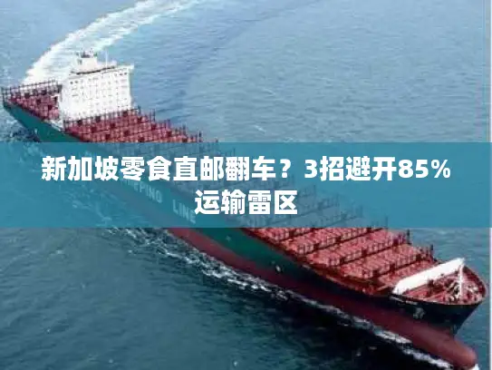 新加坡零食直邮翻车？3招避开85%运输雷区