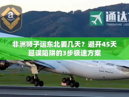 非洲狮子运东北要几天？避开45天延误陷阱的3步极速方案