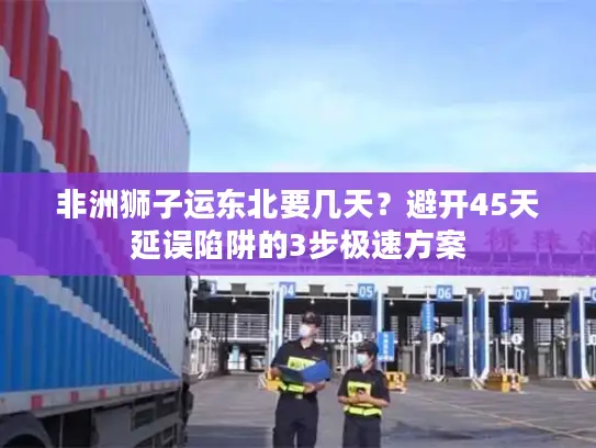 非洲狮子运东北要几天？避开45天延误陷阱的3步极速方案