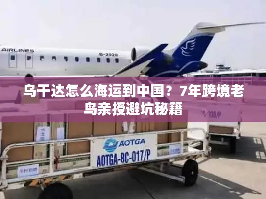 乌干达怎么海运到中国？7年跨境老鸟亲授避坑秘籍