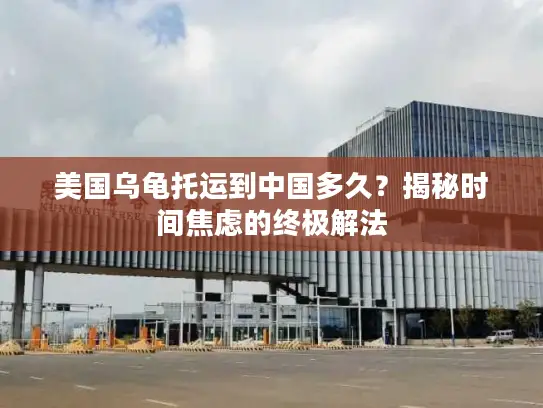 美国乌龟托运到中国多久？揭秘时间焦虑的终极解法
