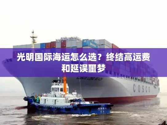 光明国际海运怎么选？终结高运费和延误噩梦