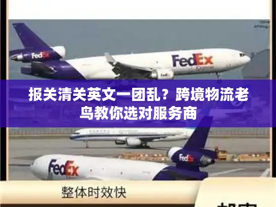 报关清关英文一团乱？跨境物流老鸟教你选对服务商