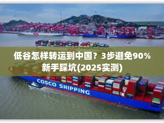 低谷怎样转运到中国？3步避免90%新手踩坑(2025实测)