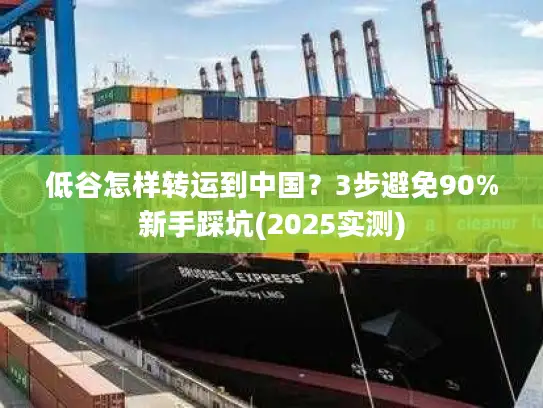 低谷怎样转运到中国？3步避免90%新手踩坑(2025实测)