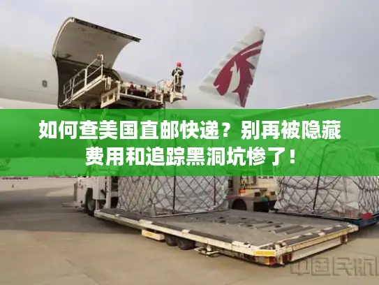 如何查美国直邮快递？别再被隐藏费用和追踪黑洞坑惨了！