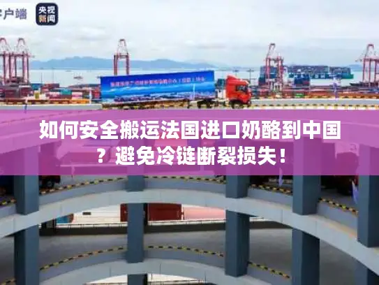 如何安全搬运法国进口奶酪到中国？避免冷链断裂损失！