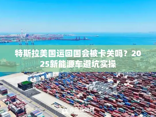 特斯拉美国运回国会被卡关吗？2025新能源车避坑实操