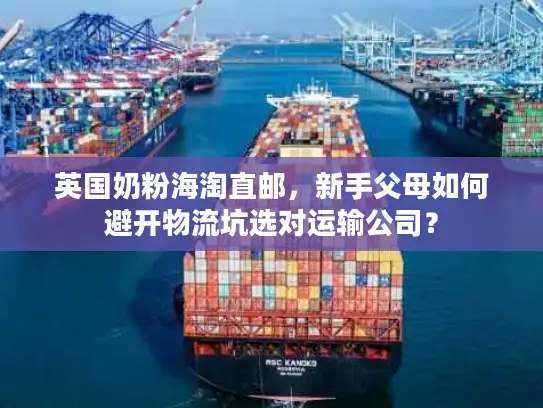 英国奶粉海淘直邮，新手父母如何避开物流坑选对运输公司？
