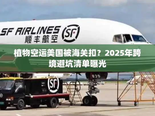 植物空运美国被海关扣？2025年跨境避坑清单曝光