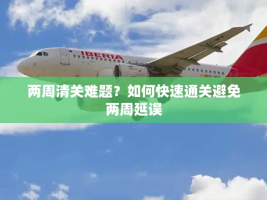 两周清关难题？如何快速通关避免两周延误