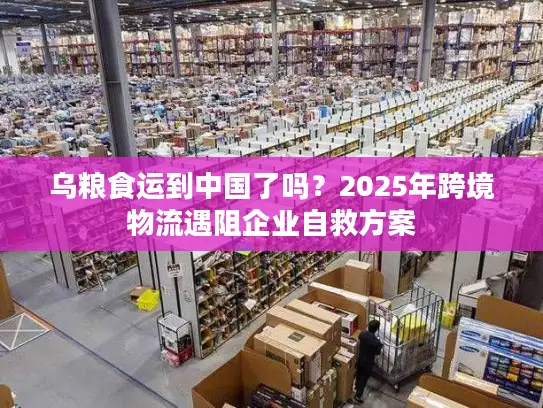 乌粮食运到中国了吗？2025年跨境物流遇阻企业自救方案
