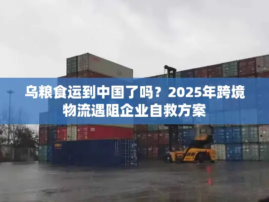 乌粮食运到中国了吗？2025年跨境物流遇阻企业自救方案