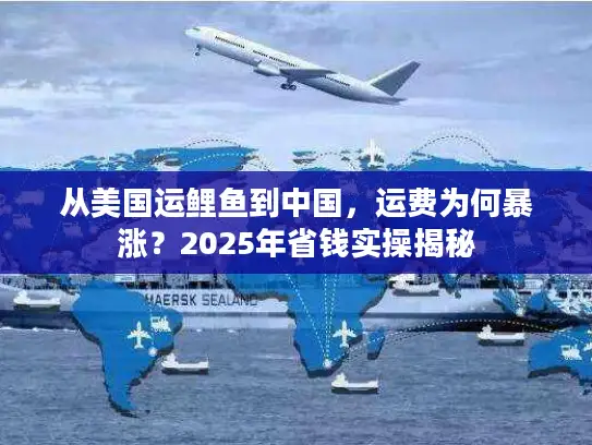 从美国运鲤鱼到中国，运费为何暴涨？2025年省钱实操揭秘