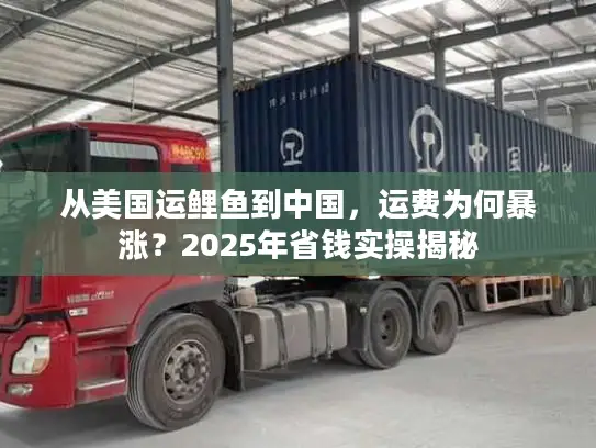 从美国运鲤鱼到中国，运费为何暴涨？2025年省钱实操揭秘