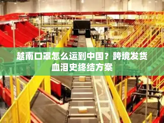 越南口罩怎么运到中国？跨境发货血泪史终结方案