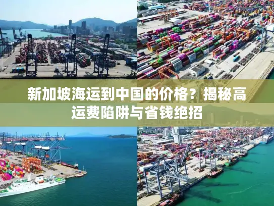 新加坡海运到中国的价格？揭秘高运费陷阱与省钱绝招
