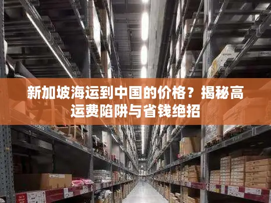 新加坡海运到中国的价格？揭秘高运费陷阱与省钱绝招