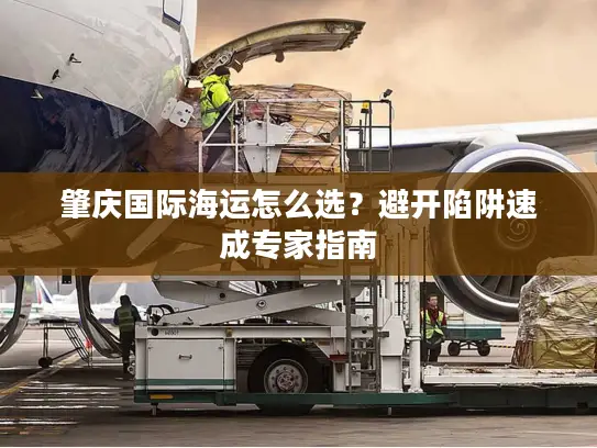 肇庆国际海运怎么选？避开陷阱速成专家指南