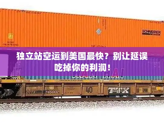 独立站空运到美国最快？别让延误吃掉你的利润！