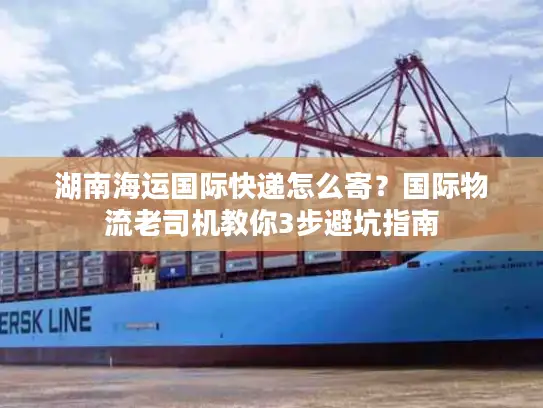 湖南海运国际快递怎么寄？国际物流老司机教你3步避坑指南