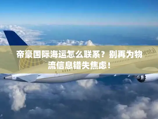 帝豪国际海运怎么联系？别再为物流信息错失焦虑！