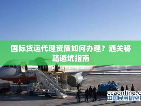 国际货运代理资质如何办理？通关秘籍避坑指南