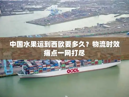 中国水果运到西欧要多久？物流时效痛点一网打尽