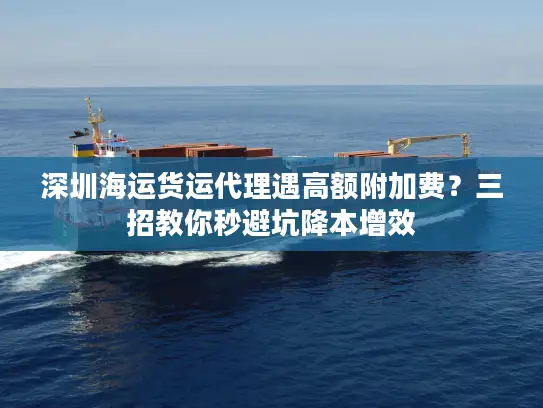 深圳海运货运代理遇高额附加费?三招教你秒避坑降本增效 深圳海运货运代理遇高额附加费?三招教你秒避坑降本增效