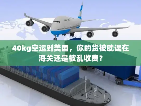40kg空运到美国，你的货被耽误在海关还是被乱收费？