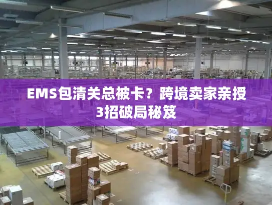 EMS包清关总被卡？跨境卖家亲授3招破局秘笈