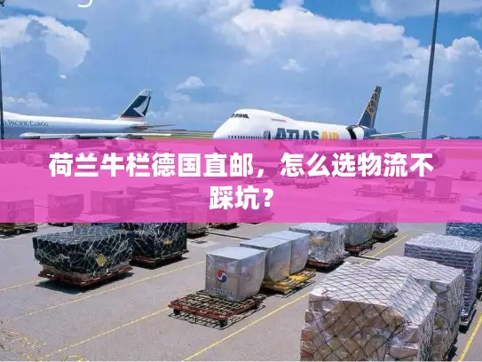 荷兰牛栏德国直邮，怎么选物流不踩坑？